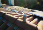 Mungo Solar-Tech - protezioneanticaduta.com